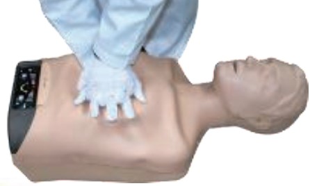 Mô hình huấn luyện CPR (bán thân người lớn Sherpa)